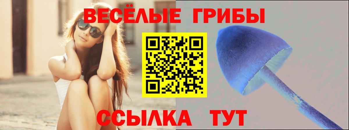 Псилоцибиновые грибы ЛСД  где купить наркотик  Верхний Уфалей  Вход с VPN  Псилоцибиновые грибы мухоморы 